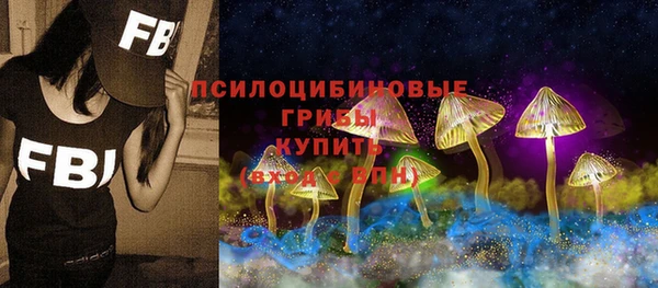 ПСИЛОЦИБИНОВЫЕ ГРИБЫ Алексин